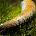 Bild in Galerie-Betrachter laden, Et nærbillede af et poleret Drikkehorn Wild, et traditionelt jødisk ceremonielt horn, hvilende på frodigt grønt græs. Hornet fremviser indviklede riller og en gradient fra gule til mørke nuancer, der reflekterer lyset og fremhæver dets detaljerede tekstur. Dens håndværk minder om det, man finder i Vikingemarkeder.