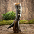 Bild in Galerie-Betrachter laden, Et poleret Drikkehorn Yggdrasil U. Mønster står på en træoverflade med en lille grøn kulisse. Hornet har en naturlig buet form og holdes oprejst af et træstativ. Scenen, der minder om Yggdrasils rødder, fremkalder en rustik, historisk stemning svarende til, hvad du ville finde på et vikingemarked.