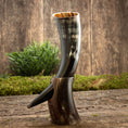 Bild in Galerie-Betrachter laden, Drikkehorn Yggdrasil U. Mønster, lavet af et poleret dyrehorn, fremviser en tydelig krumning og kommer med et udsmykket udskåret stativ, der ligner det mytiske Yggdrasil-træ. Den rustikke charme ved dette stykke forstærkes yderligere af baggrunden af træplanker og grønt løv, der vækker minder om skatte fundet på et vikingemarked.