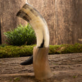 Bild in Galerie-Betrachter laden, Et poleret Drikkehorn Valravn med en gradient fra hvid til mørkebrun står oprejst på en rustik træoverflade ved siden af en lille høj af mos og grønt. Baggrunden er et tekstureret, forvitret træpanel, der fremkalder billeder af et tidligere vikingemarked.